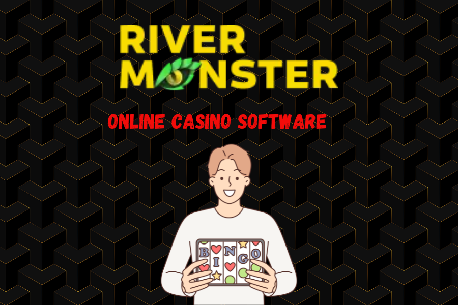 Online casino software 2024: Gambling Experience